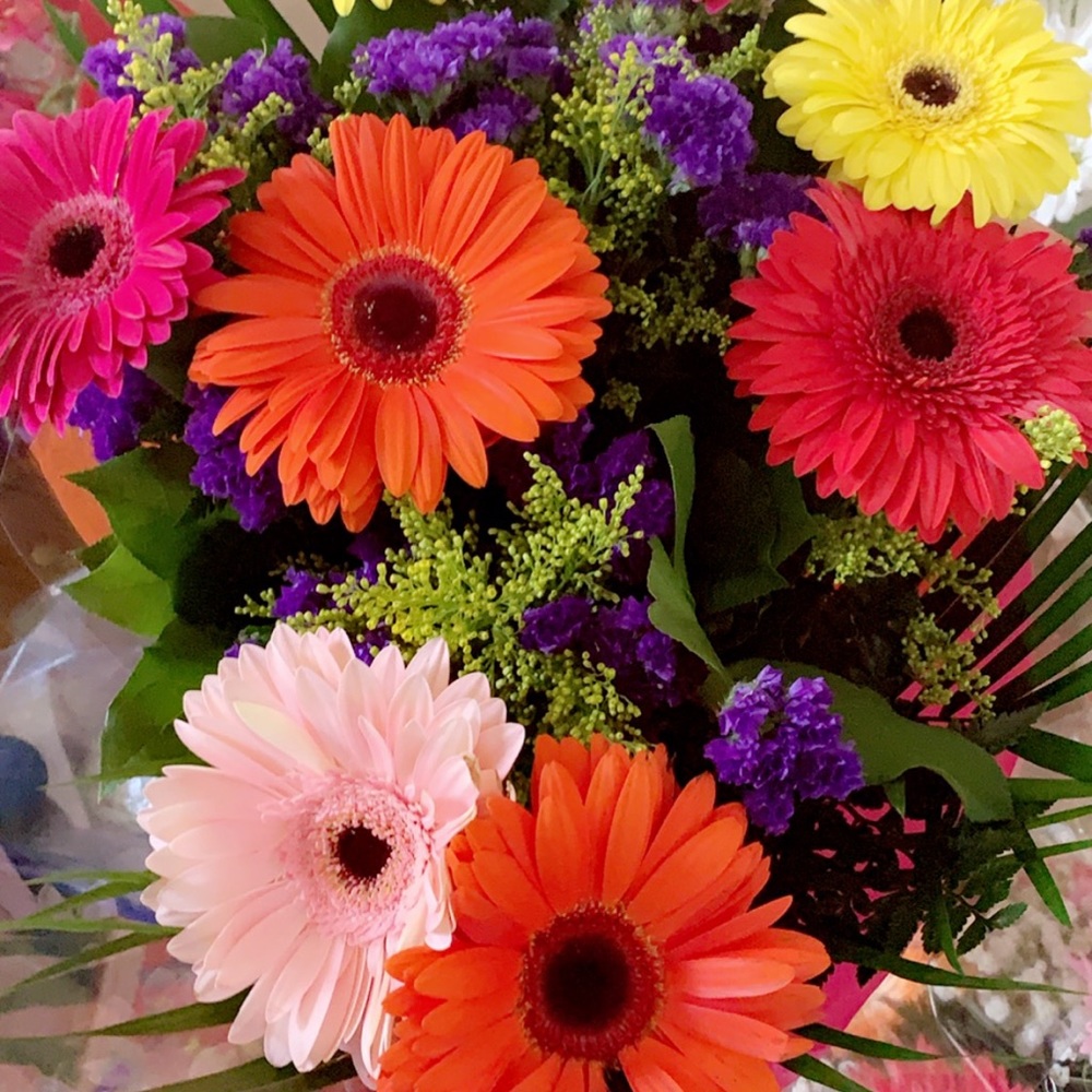 Meet your Posher, Julie